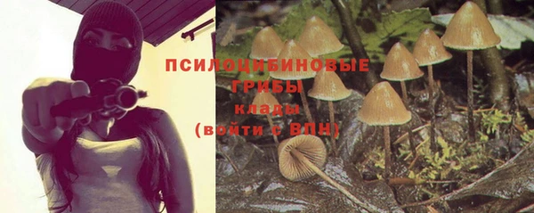 мяу мяу мука Балахна