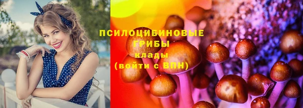 каннабис Баксан