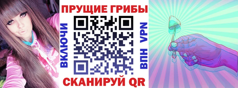 продажа наркотиков  Новотитаровская  Галлюциногенные грибы Psilocybine cubensis 